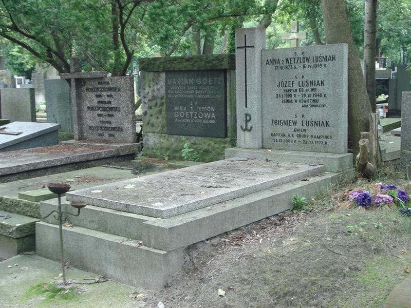 Zdjęcie grobu Anna Luśniak (1)