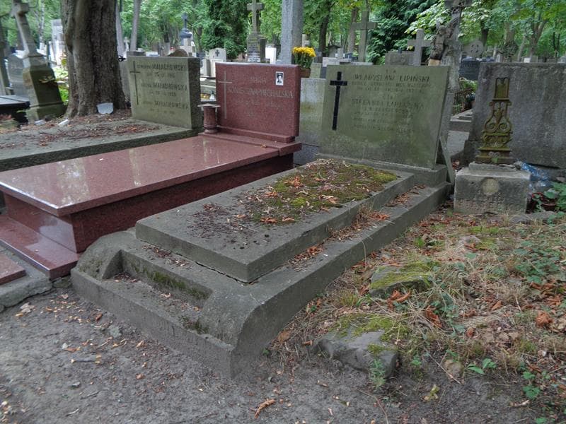 Zdjęcie grobu: Władysław Lipiński