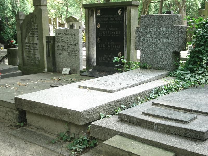 Zdjęcie grobu Halina Bojanowska (1)