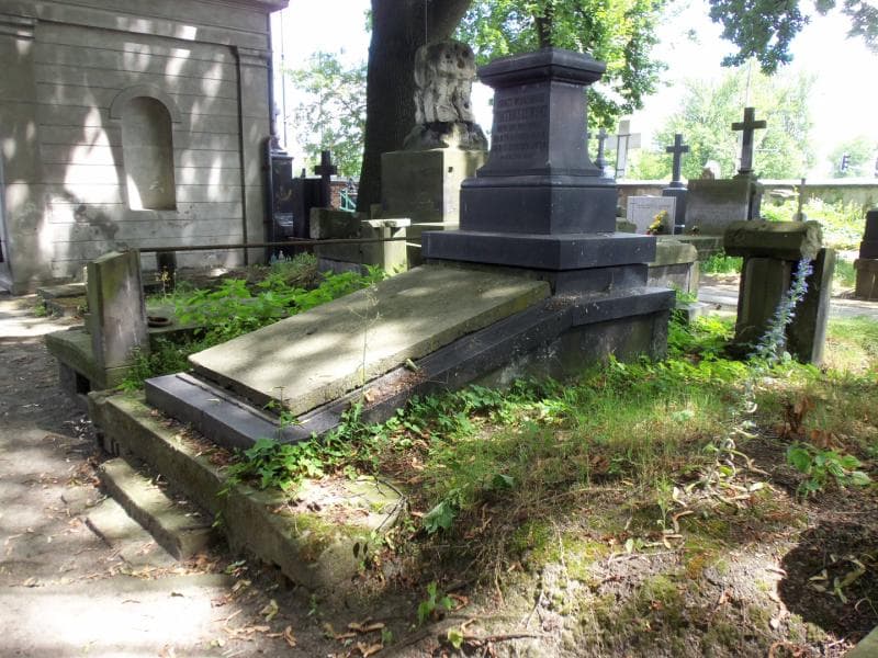 Zdjęcie grobu Ignacy Włodzimierz Piotruszewski (1)