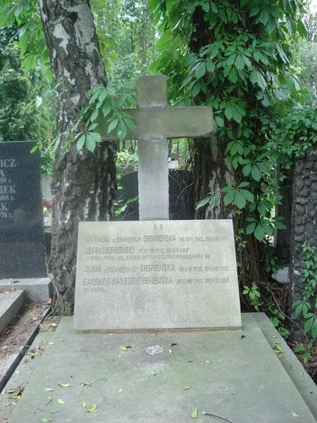 Zdjęcie grobu Leon Siemieński (2)