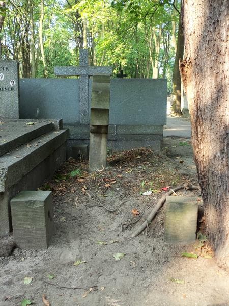 Zdjęcie grobu Zygmunt D'auguste (1)