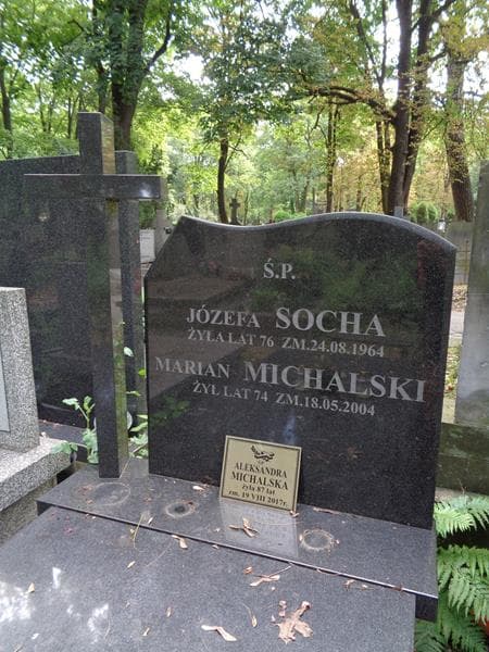 Zdjęcie grobu Aleksandra Michalska (2)