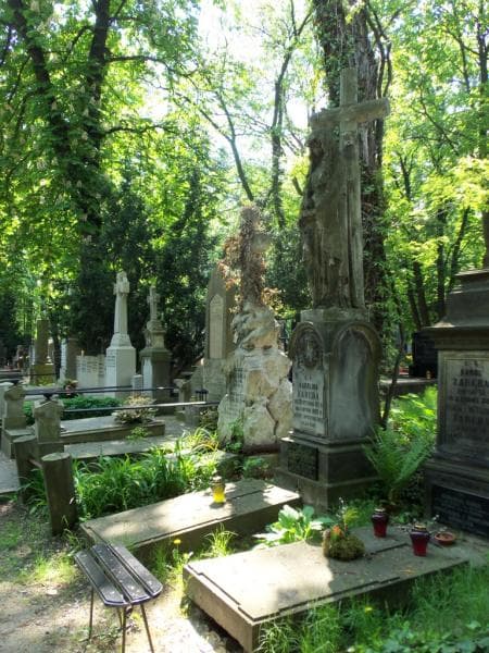 Zdjęcie grobu Tadeusz Dołęga - Kossowski (1)