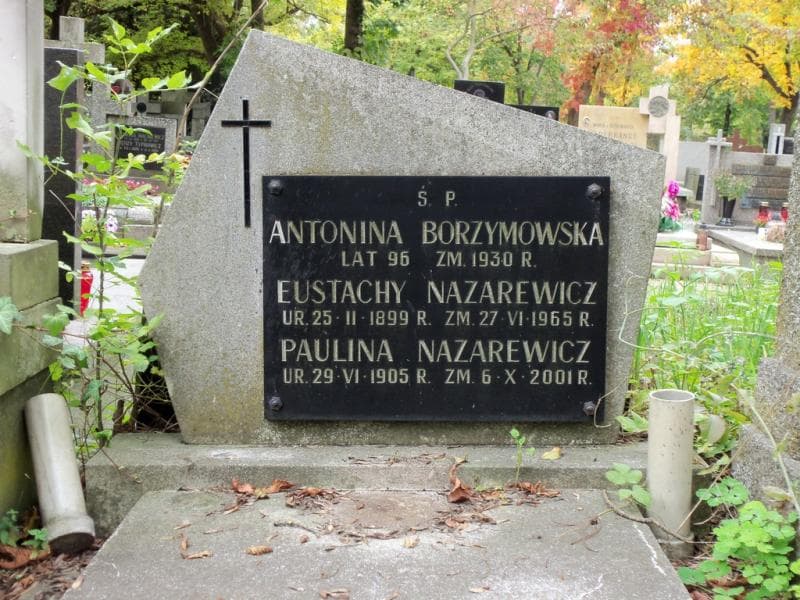 Zdjęcie grobu Antonina Borzymowska (2)