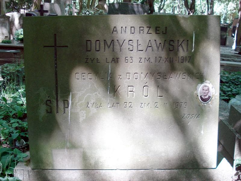 Zdjęcie grobu Andrzej Domysławski (1)
