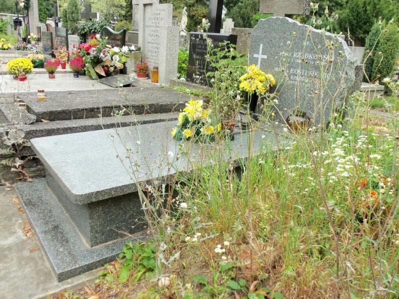 Zdjęcie grobu Józef Rządkowski (1)