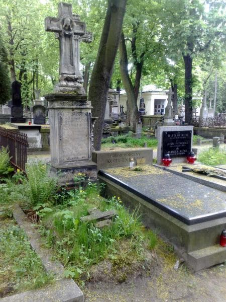 Zdjęcie grobu Józef Waltemberg (1)
