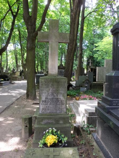 Zdjęcie grobu Franciszek Próchnicki (2)