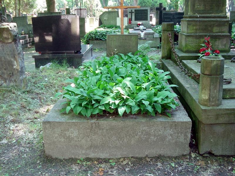 Zdjęcie grobu: Ludmiła Michalska