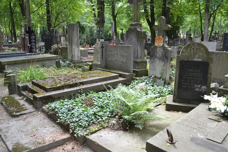 Zdjęcie grobu: Ewa Pawłowska