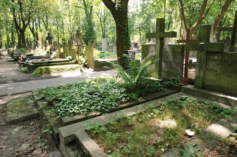 Zdjęcie grobu: Halina Klimek