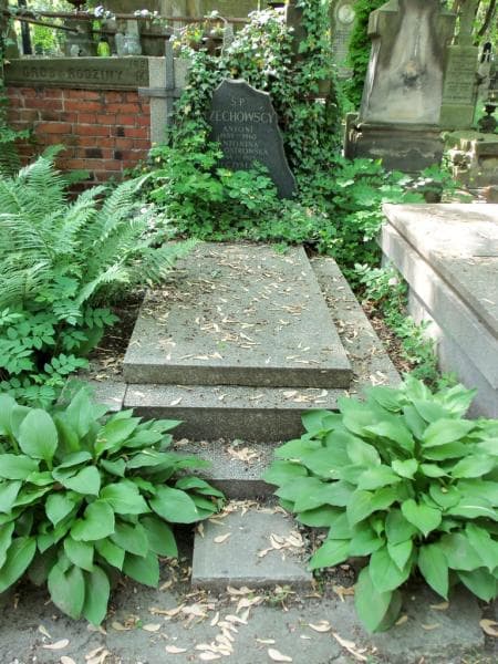 Zdjęcie grobu: Antoni Czechowski