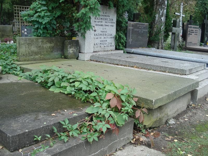 Zdjęcie grobu Krzysztof Stefan Flakiewicz (1)
