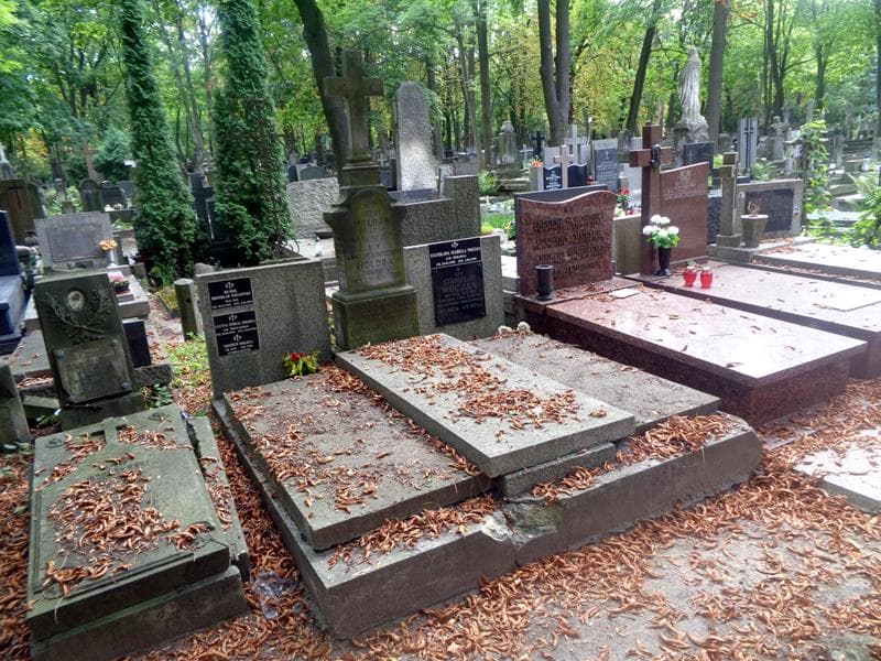 Zdjęcie grobu: Nikodem Hołoga