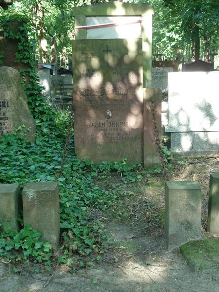 Zdjęcie grobu: Stanisław Okniński
