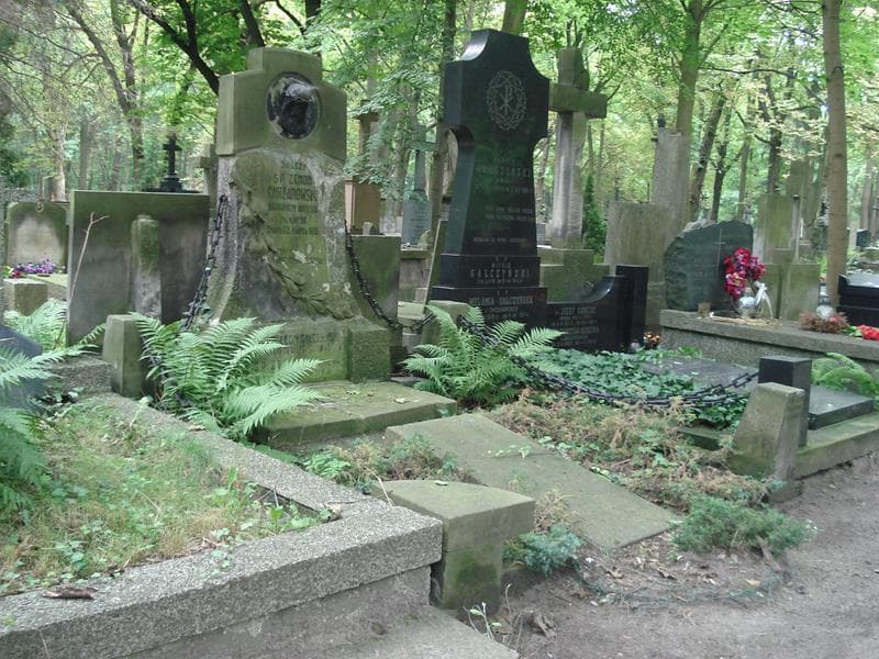 Zdjęcie grobu Zenon Chrzanowski (1)