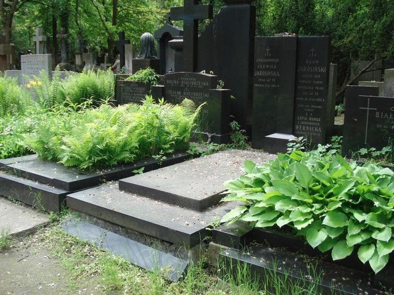 Zdjęcie grobu: Jadwiga Jarosińska