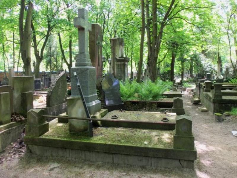 Zdjęcie grobu Wanda Auleytner (1)