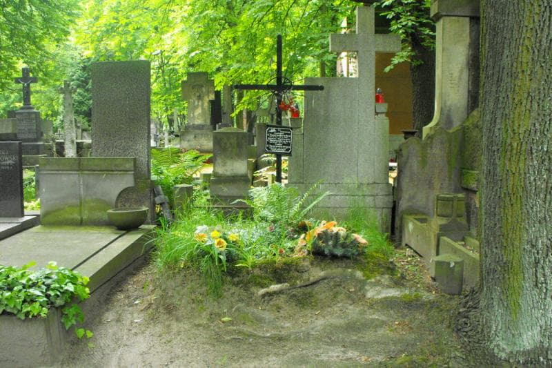 Zdjęcie grobu Eleonora Chorosiewicz (1)
