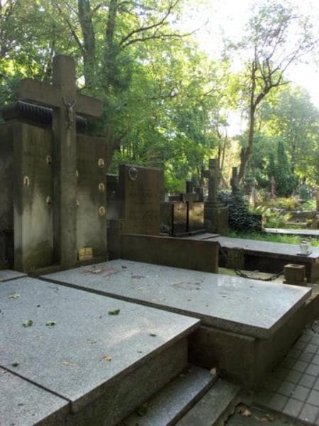 Zdjęcie grobu Aleksander Aust (1)