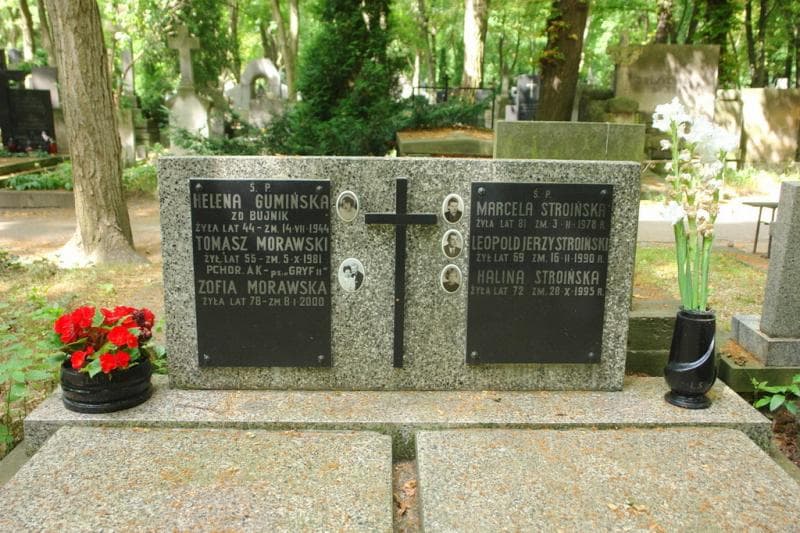 Zdjęcie grobu Halina Stroińska (2)