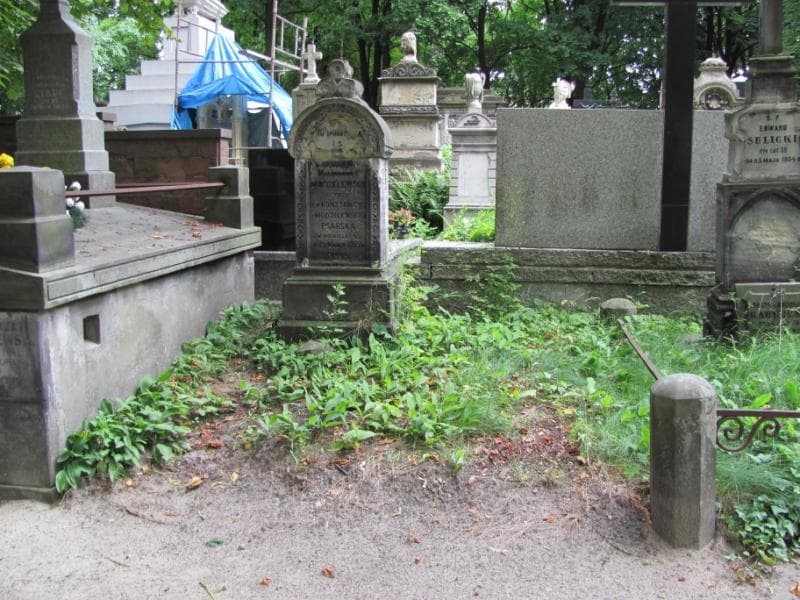 Zdjęcie grobu: Wincenty Psarski