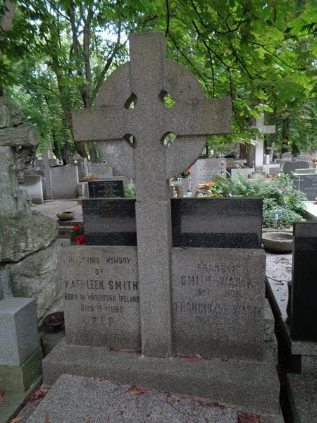 Zdjęcie grobu Franciszek Wasik (2)