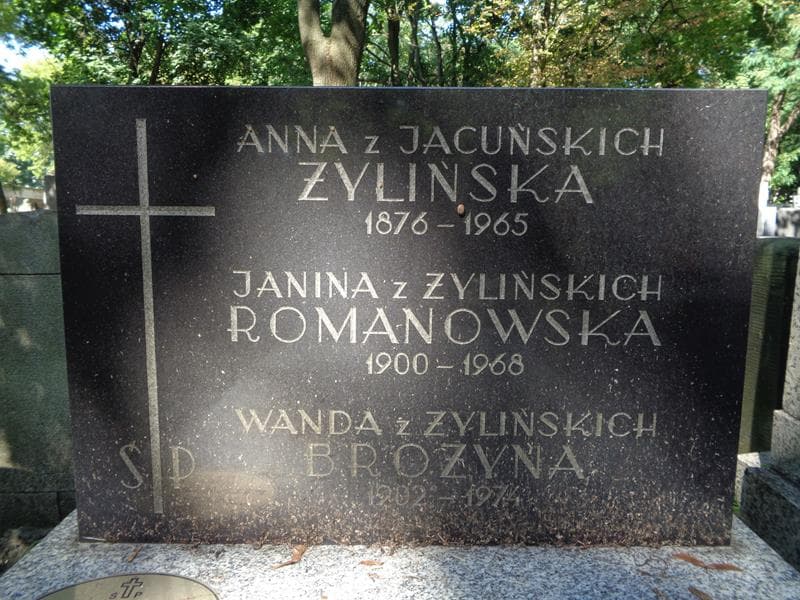 Zdjęcie grobu Wanda Brożyna (2)