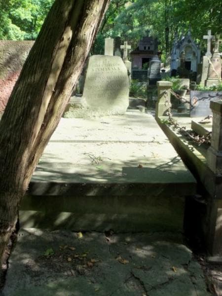 Zdjęcie grobu: Mieczysław Tański
