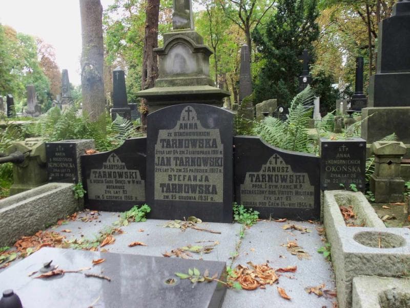Zdjęcie grobu Anna Okońska (2)