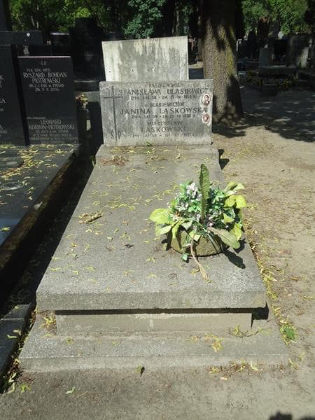 Zdjęcie grobu: Mieczysław Laskowski