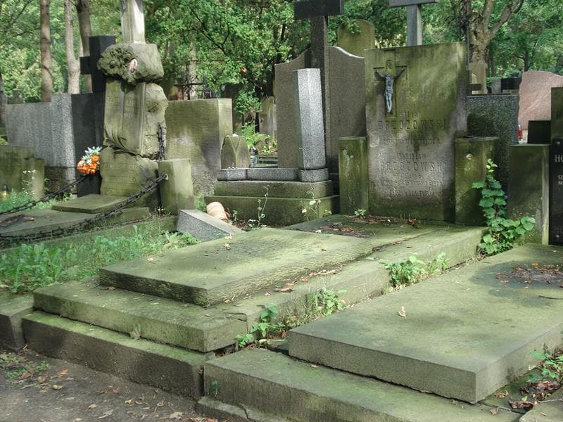 Zdjęcie grobu Witold Brzozowski (1)