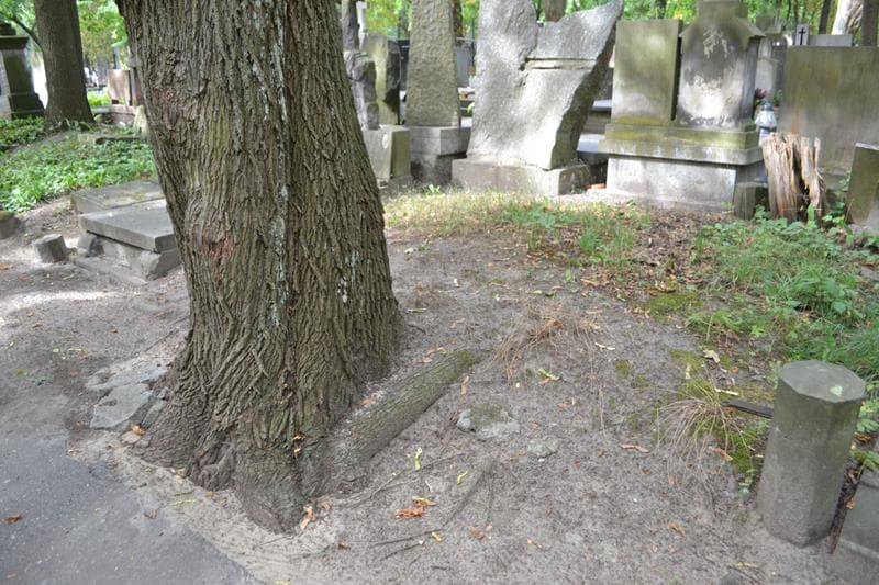Zdjęcie grobu: Pole Grobowe
