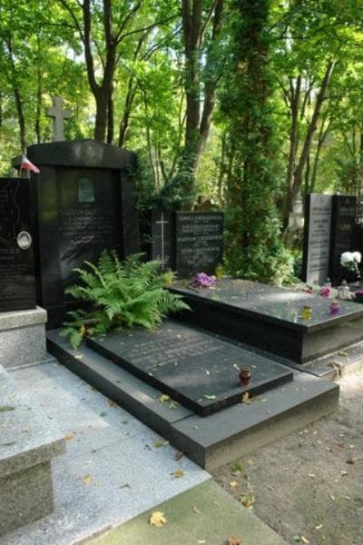 Zdjęcie grobu Bolesław Borzęcki (1)