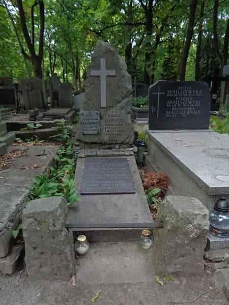 Zdjęcie grobu Karol Perkowski (1)