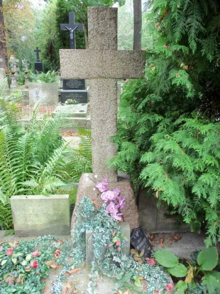 Zdjęcie grobu Stanisław Czarnecki (2)