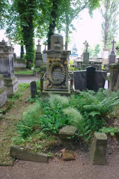 Zdjęcie grobu Karol Polaczek (1)