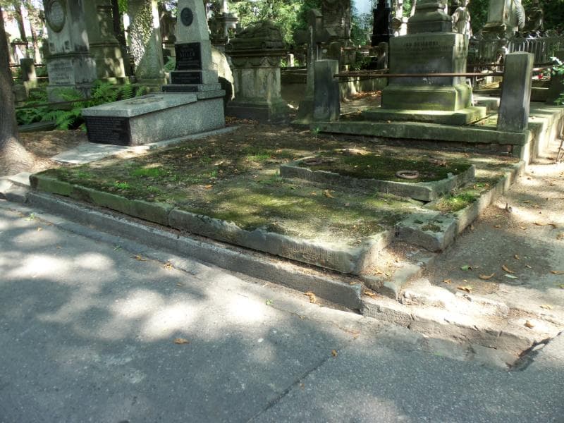 Zdjęcie grobu Janina Dyamentowicz (1)
