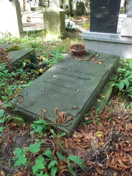 Zdjęcie grobu Marya Leśniowska (2)