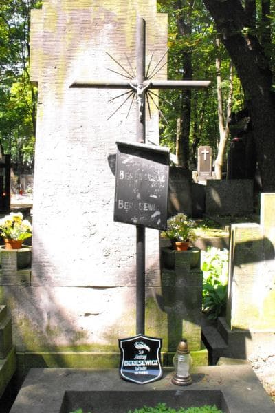 Zdjęcie grobu Alfons Alexandrowicz (2)