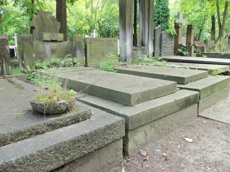 Zdjęcie grobu Zofia Brzezie-Russocka (1)