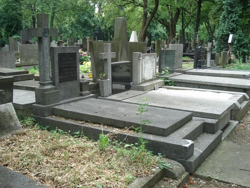 Zdjęcie grobu: Antoni Górski
