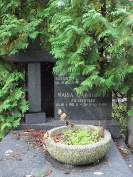 Zdjęcie grobu Roman Dąbrowski (2)
