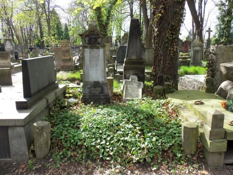 Zdjęcie grobu: Robert Perl