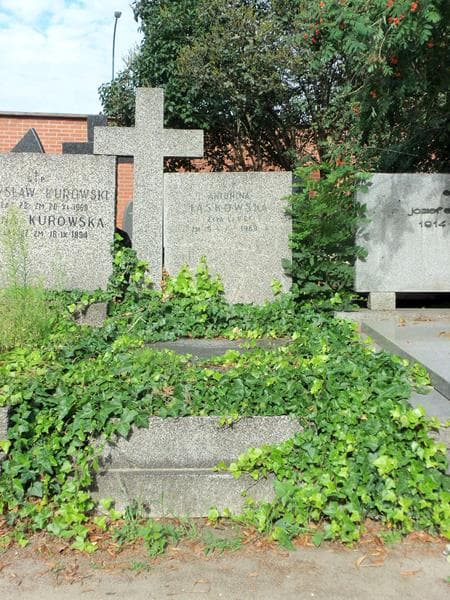 Zdjęcie grobu: Antonina Laskowska