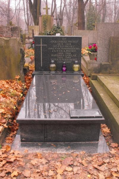 Zdjęcie grobu: Witold Perkowski