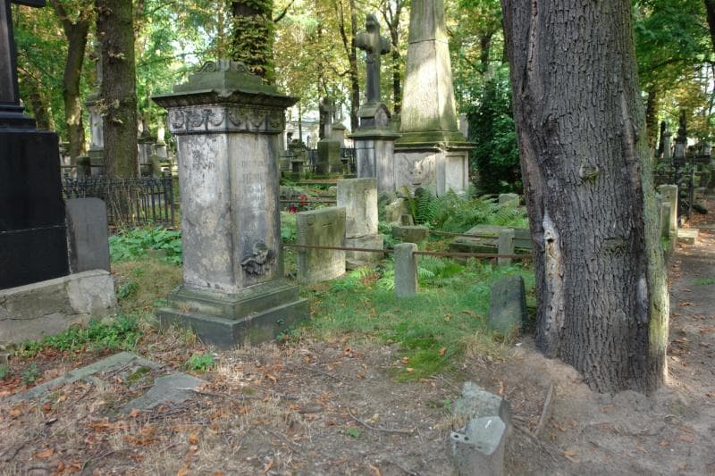 Zdjęcie grobu Delphine De Henrici (1)