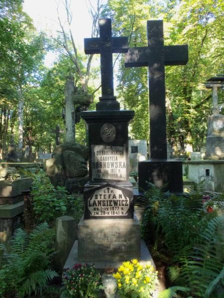Zdjęcie grobu Stefan Langiewicz (2)