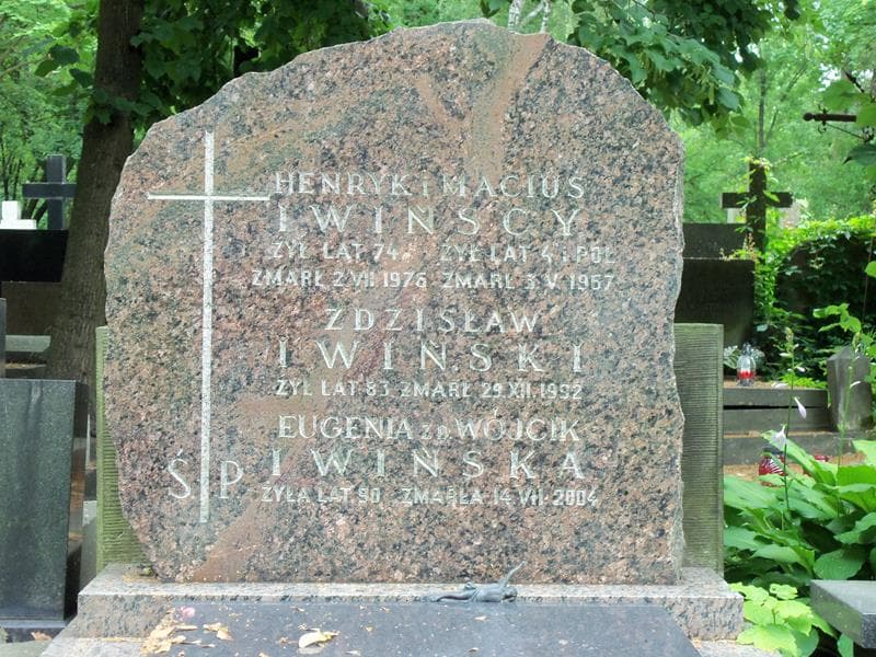 Zdjęcie grobu Henryk Iwiński (2)